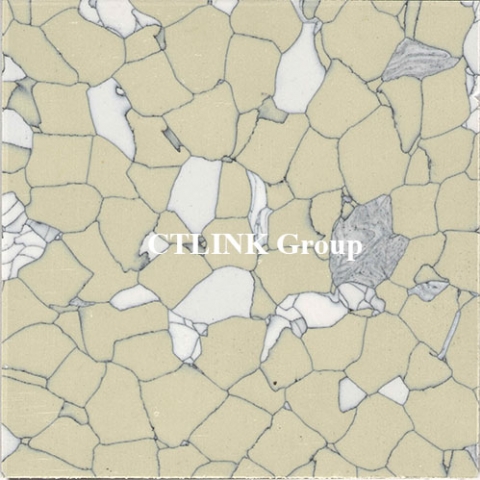 Sàn nâng kỹ thuật tấm thép lõi xi măng mặt phủ conductive PVC/ Vinyl